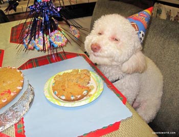Good boy!
