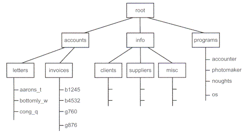 Directory structure