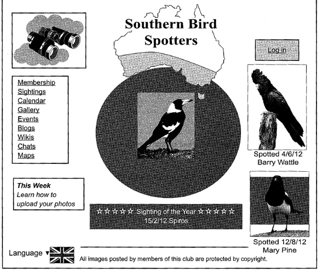 Birds
