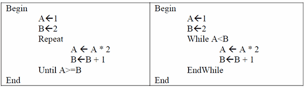 SD exam report B5