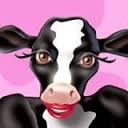 Cowbook