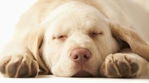 zzzzzzzzzzzzzzzzzzzzz
